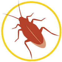 アレルギーのゴキブリ