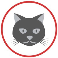 アレルギーの猫